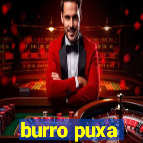 burro puxa